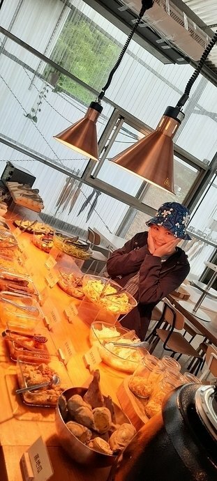 旅遊 ░   南部豪華型帳篷露營 - The Tale Of Butterfly 蝶舞澗 一泊二食， 1200多棵花旗木粉嫩登場