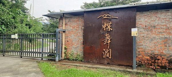 旅遊 ░   南部豪華型帳篷露營 - The Tale Of Butterfly 蝶舞澗 一泊二食， 1200多棵花旗木粉嫩登場