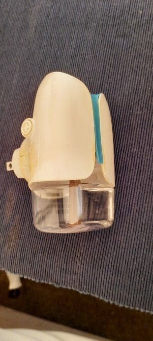 旅遊 ░   南部豪華型帳篷露營 - The Tale Of Butterfly 蝶舞澗 一泊二食， 1200多棵花旗木粉嫩登場