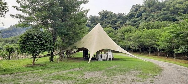 旅遊 ░   南部豪華型帳篷露營 - The Tale Of Butterfly 蝶舞澗 一泊二食， 1200多棵花旗木粉嫩登場