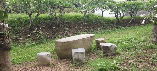 旅遊 ░   南部豪華型帳篷露營 - The Tale Of Butterfly 蝶舞澗 一泊二食， 1200多棵花旗木粉嫩登場