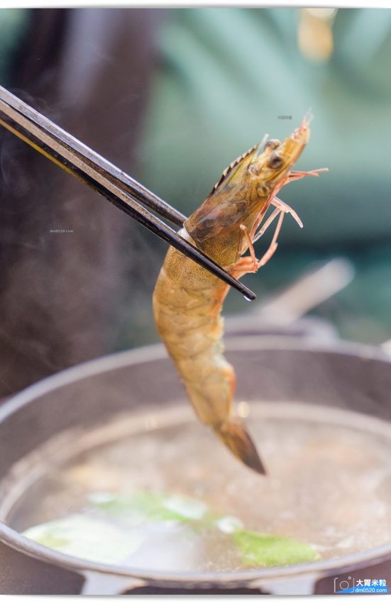 鉄火鍋鐵火鍋 鉄火鍋鐵火鍋