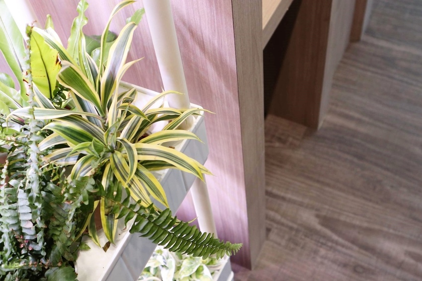 20200409234016_IMG_6444.jpg 20200409234016_IMG_6444.jpg