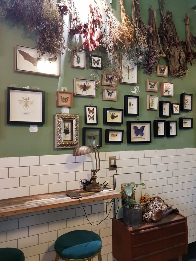 240117.jpg - 【台南】密巷必須fb預約餐廳。植感大叔的日常。泰國菜超好吃。店內蕨類植物滿佈空氣感十足的美好空間