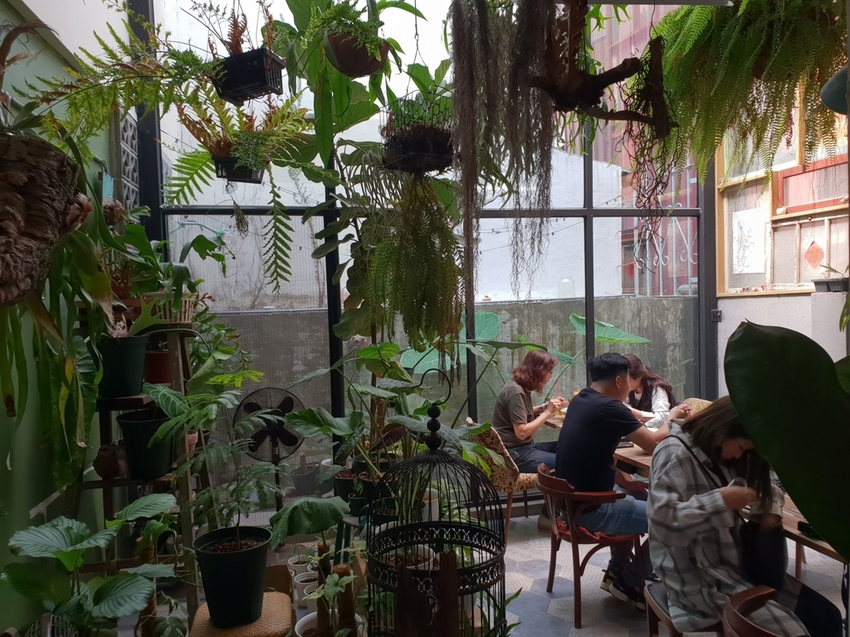 240112.jpg - 【台南】密巷必須fb預約餐廳。植感大叔的日常。泰國菜超好吃。店內蕨類植物滿佈空氣感十足的美好空間