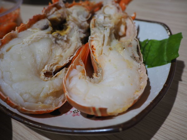 2020-03-24 02.00.18(1585112926.421254).jpeg