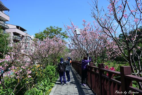 0315 樂康步道07.jpg