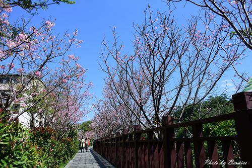 0315 樂康步道03.jpg