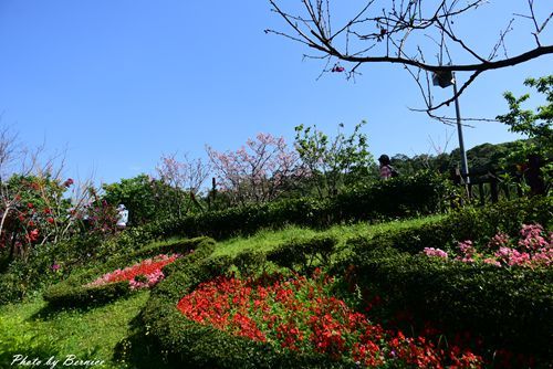 0315 樂康步道13.jpg
