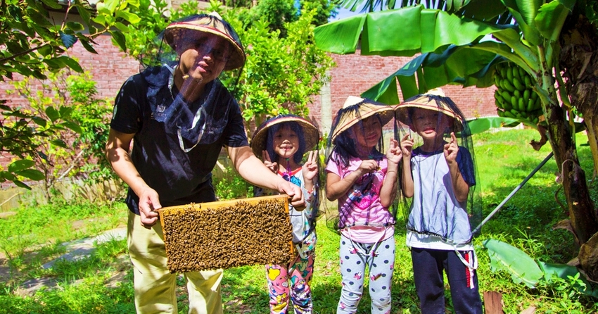 【新竹親子景點】新竹蜜蜂生態體驗｜愛蜂園愛蜂主題館～蜜蜂生態導覽、蜂蜜採收體驗，近距離與蜜蜂接觸