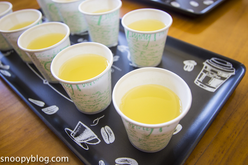 【新竹親子景點】新竹蜜蜂生態體驗｜愛蜂園愛蜂主題館～蜜蜂生態導覽、蜂蜜採收體驗，近距離與蜜蜂接觸