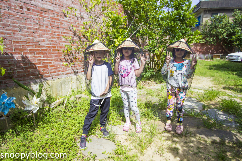 【新竹親子景點】新竹蜜蜂生態體驗｜愛蜂園愛蜂主題館～蜜蜂生態導覽、蜂蜜採收體驗，近距離與蜜蜂接觸