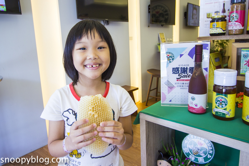 【新竹親子景點】新竹蜜蜂生態體驗｜愛蜂園愛蜂主題館～蜜蜂生態導覽、蜂蜜採收體驗，近距離與蜜蜂接觸
