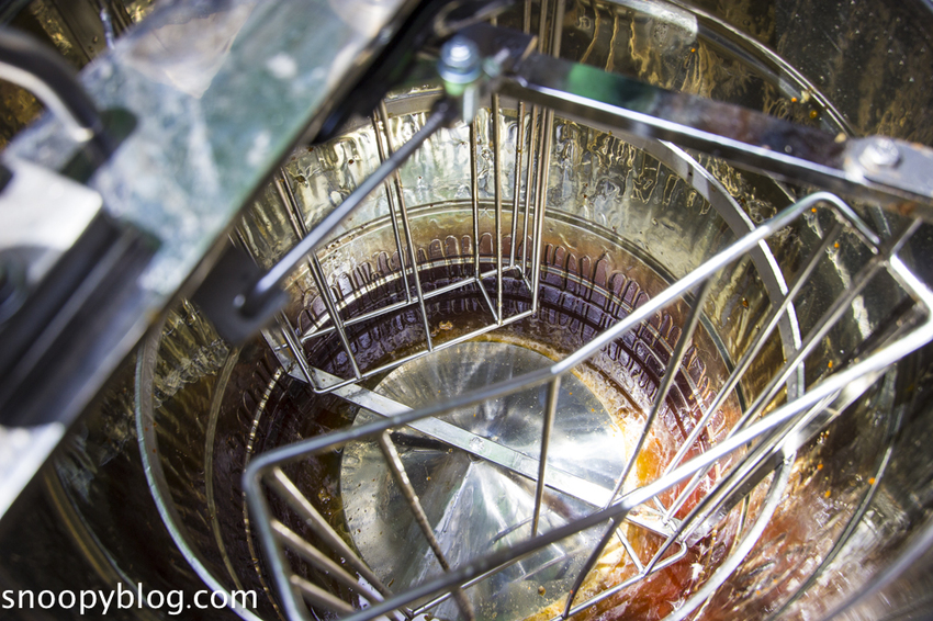 【新竹親子景點】新竹蜜蜂生態體驗｜愛蜂園愛蜂主題館～蜜蜂生態導覽、蜂蜜採收體驗，近距離與蜜蜂接觸