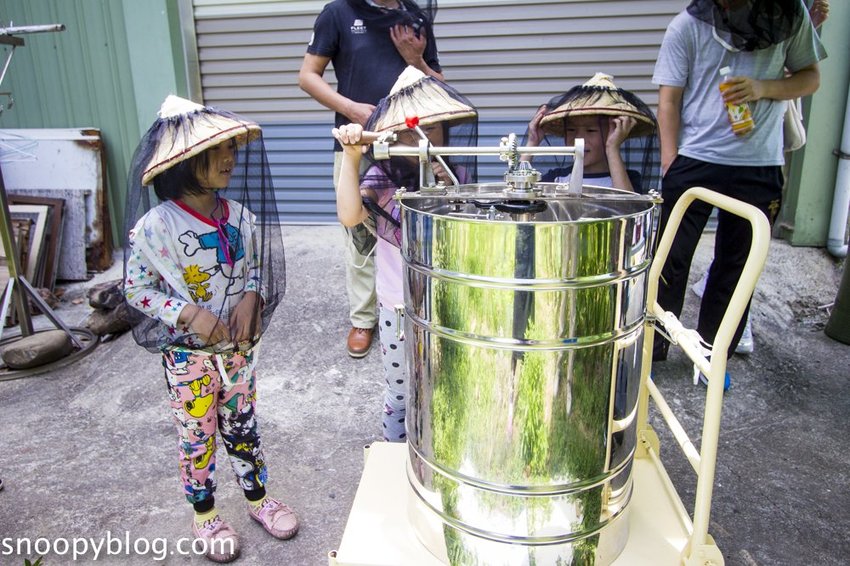 【新竹親子景點】新竹蜜蜂生態體驗｜愛蜂園愛蜂主題館～蜜蜂生態導覽、蜂蜜採收體驗，近距離與蜜蜂接觸