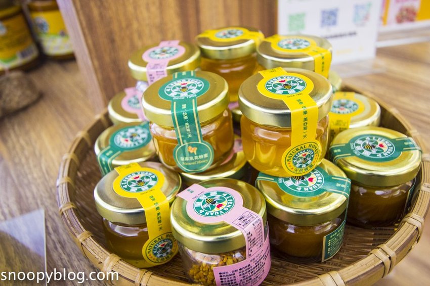 【新竹親子景點】新竹蜜蜂生態體驗｜愛蜂園愛蜂主題館～蜜蜂生態導覽、蜂蜜採收體驗，近距離與蜜蜂接觸