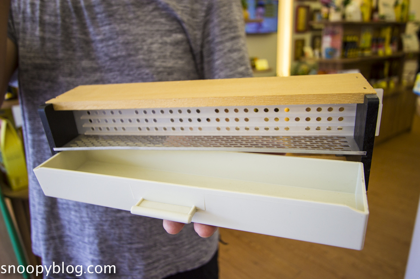 【新竹親子景點】新竹蜜蜂生態體驗｜愛蜂園愛蜂主題館～蜜蜂生態導覽、蜂蜜採收體驗，近距離與蜜蜂接觸