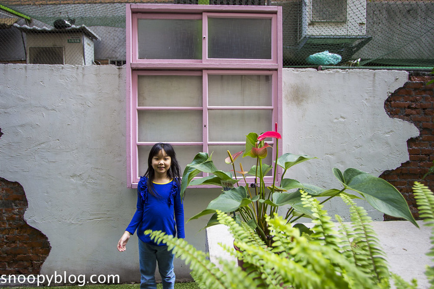 萬華住宿｜禾順商旅～近龍山寺與捷運站，一秒到艋舺夜市與華西街夜市，週邊美食與景點超豐富