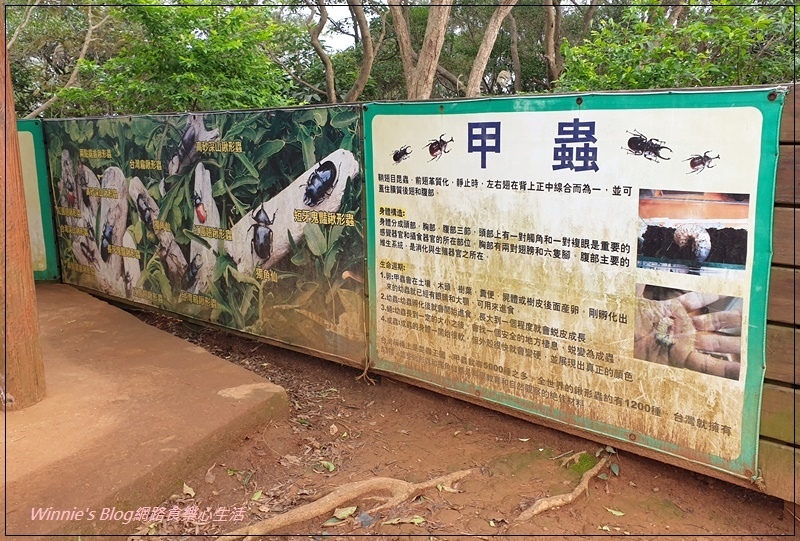 桃園蘆竹羊稠森林步道(桃園南崁親子步道+高鐵景觀步道) 10.jpg 桃園蘆竹羊稠森林步道(桃園南崁親子步道+高鐵景觀步道) 10.jpg