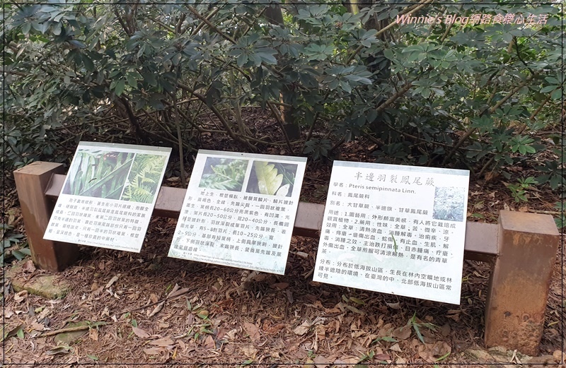 桃園蘆竹羊稠森林步道(桃園南崁親子步道+高鐵景觀步道) 13.jpg 桃園蘆竹羊稠森林步道(桃園南崁親子步道+高鐵景觀步道) 13.jpg