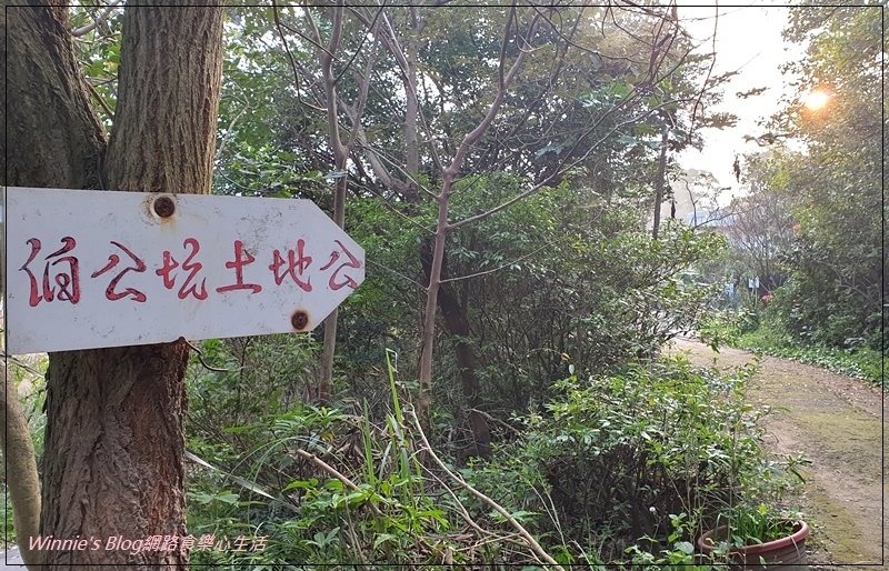 桃園蘆竹羊稠森林步道(桃園南崁親子步道+高鐵景觀步道) 21.jpg 桃園蘆竹羊稠森林步道(桃園南崁親子步道+高鐵景觀步道) 21.jpg