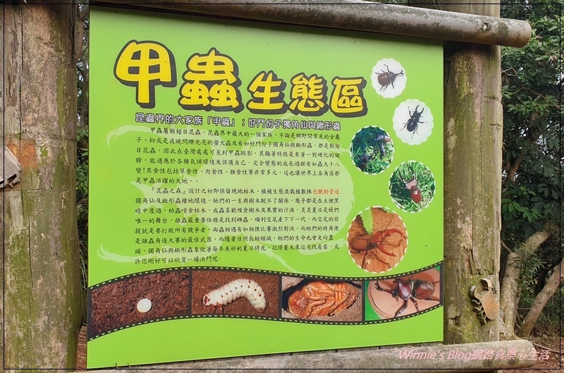 桃園蘆竹羊稠森林步道(桃園南崁親子步道+高鐵景觀步道) 08-1.jpg 桃園蘆竹羊稠森林步道(桃園南崁親子步道+高鐵景觀步道) 08-1.jpg