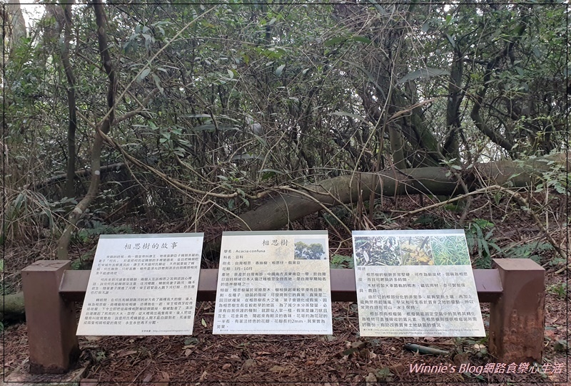 桃園蘆竹羊稠森林步道(桃園南崁親子步道+高鐵景觀步道) 06.jpg 桃園蘆竹羊稠森林步道(桃園南崁親子步道+高鐵景觀步道) 06.jpg