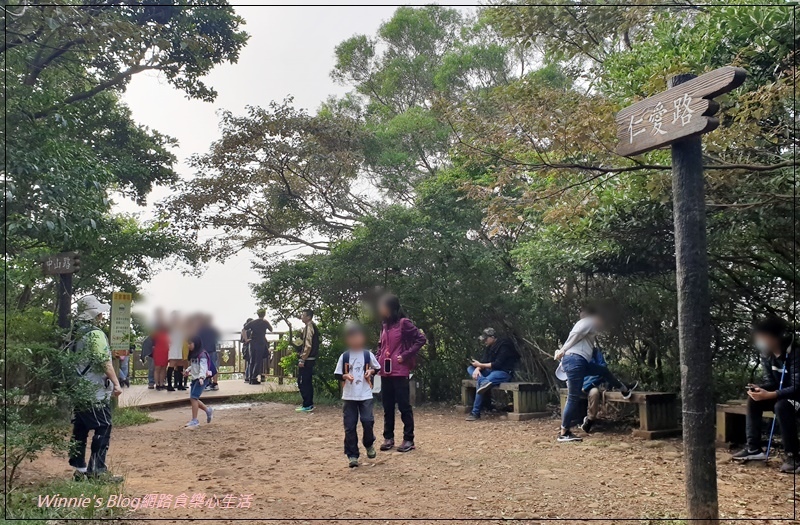 桃園蘆竹羊稠森林步道(桃園南崁親子步道+高鐵景觀步道) 16.jpg 桃園蘆竹羊稠森林步道(桃園南崁親子步道+高鐵景觀步道) 16.jpg