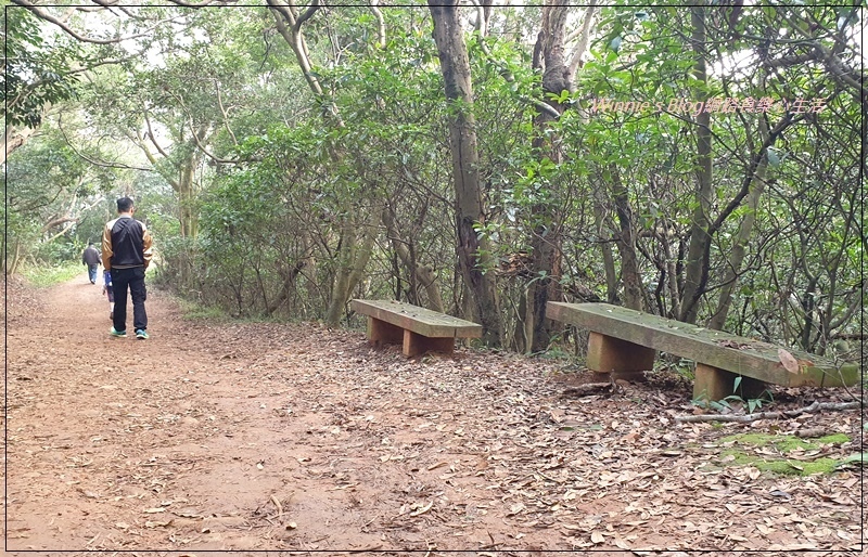 桃園蘆竹羊稠森林步道(桃園南崁親子步道+高鐵景觀步道) 07.jpg 桃園蘆竹羊稠森林步道(桃園南崁親子步道+高鐵景觀步道) 07.jpg