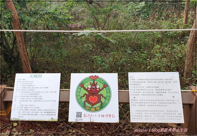 桃園蘆竹羊稠森林步道(桃園南崁親子步道+高鐵景觀步道) 11.jpg 桃園蘆竹羊稠森林步道(桃園南崁親子步道+高鐵景觀步道) 11.jpg