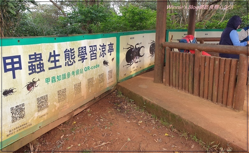 桃園蘆竹羊稠森林步道(桃園南崁親子步道+高鐵景觀步道) 09.jpg 桃園蘆竹羊稠森林步道(桃園南崁親子步道+高鐵景觀步道) 09.jpg