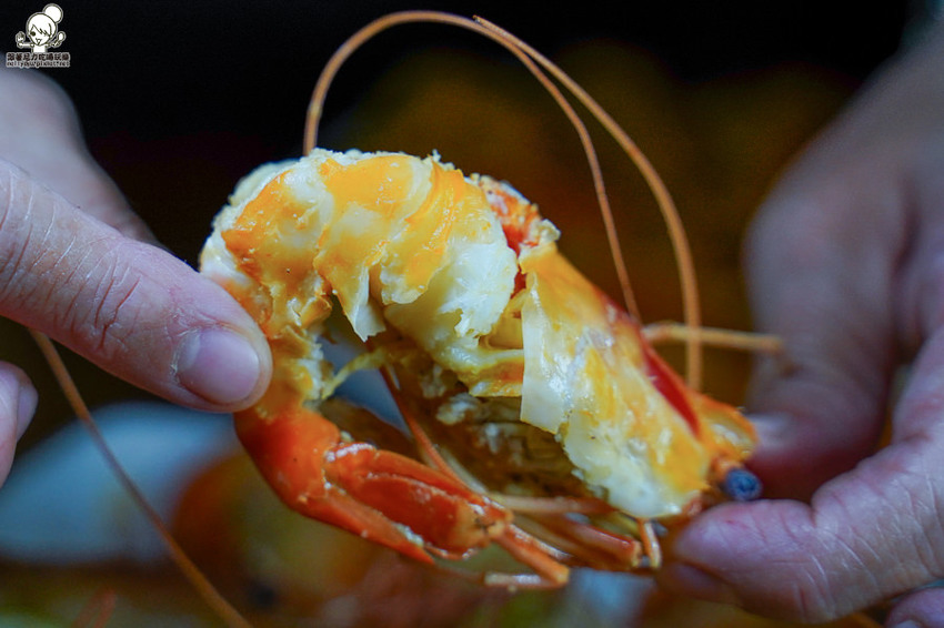 欣榀活蝦料理食堂 活蝦 泰國蝦 獨門 特色 好吃 推薦 高雄 必吃