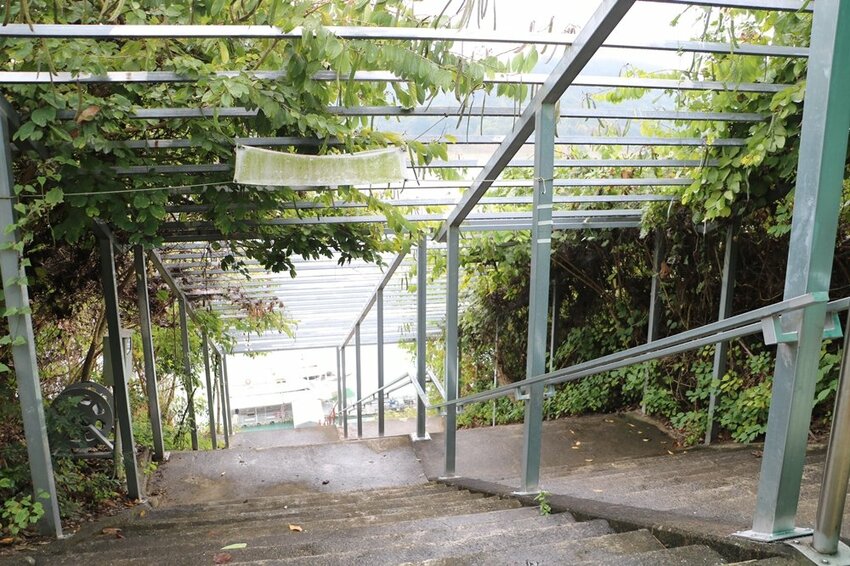 嘉義大埔一日遊。曾文水庫遊艇環湖、全台唯一合法釣魚台 釣魚賞鷹、吸收負離子、美食、資深玩家私藏秘境