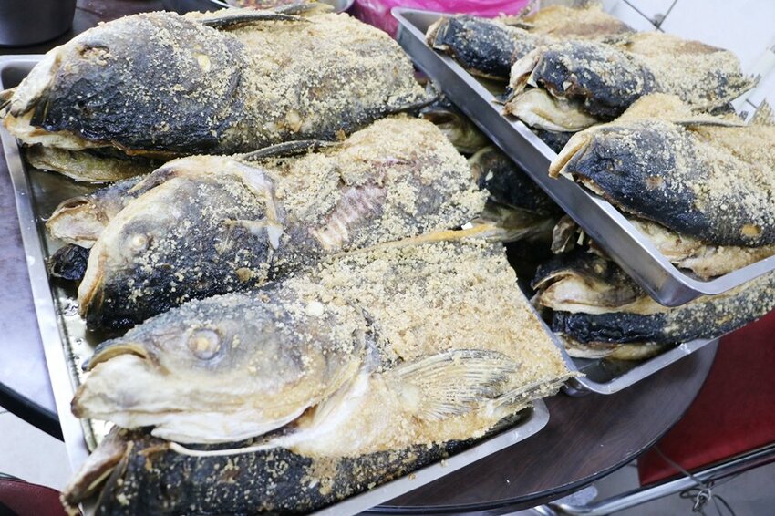 嘉義大埔一日遊。曾文水庫遊艇環湖、全台唯一合法釣魚台 釣魚賞鷹、吸收負離子、美食、資深玩家私藏秘境