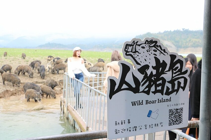 嘉義大埔一日遊。曾文水庫遊艇環湖、全台唯一合法釣魚台 釣魚賞鷹、吸收負離子、美食、資深玩家私藏秘境