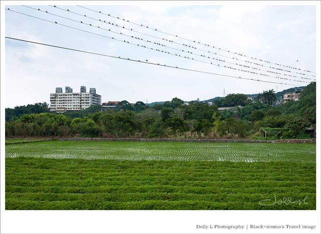 100815-P045.jpg 100815-P045.jpg