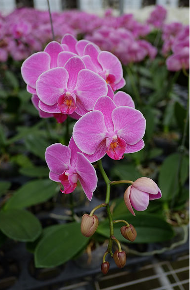 螢幕快照 2014-07-08 下午11.49.34 螢幕快照 2014-07-08 下午11.49.34