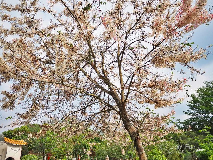 P4047220.JPG P4047220.JPG