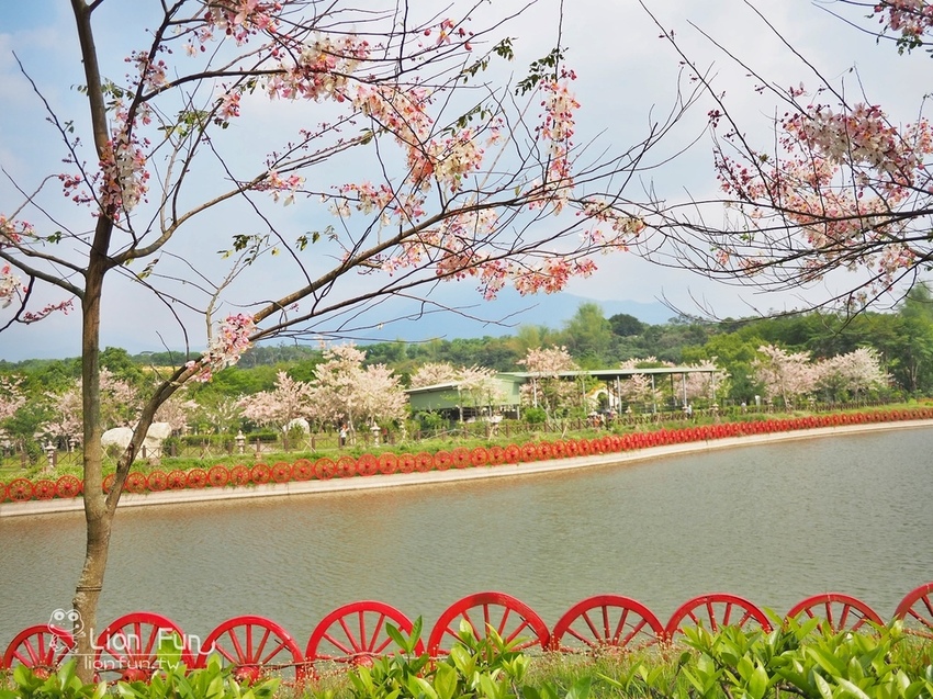 P4047195.JPG P4047195.JPG