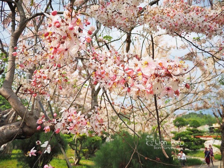 P4047207.JPG P4047207.JPG