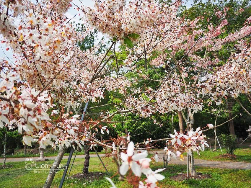 P4047191.JPG P4047191.JPG