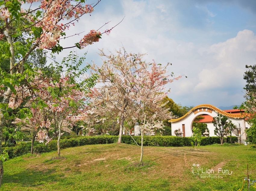 P4047209.JPG P4047209.JPG