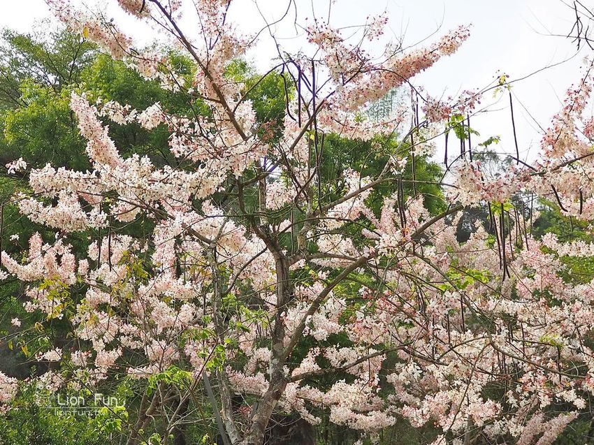 P4047196.JPG P4047196.JPG