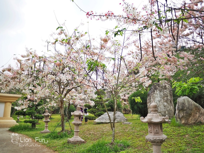 P4047204.JPG P4047204.JPG