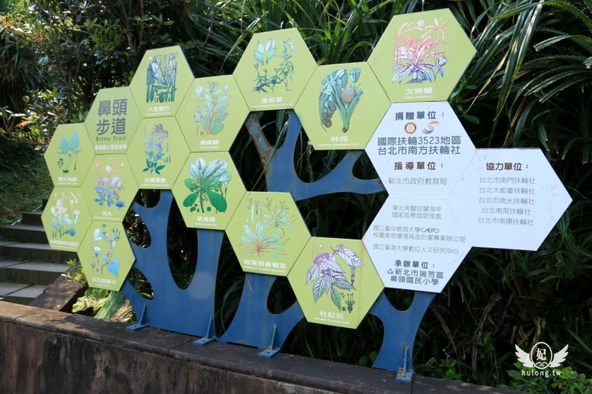 「聽濤營區」鼻頭角步道迷彩神秘感新秘境|聽濤營區咖啡開放時間|東北角景點! - 珍太妃旅遊親子生活