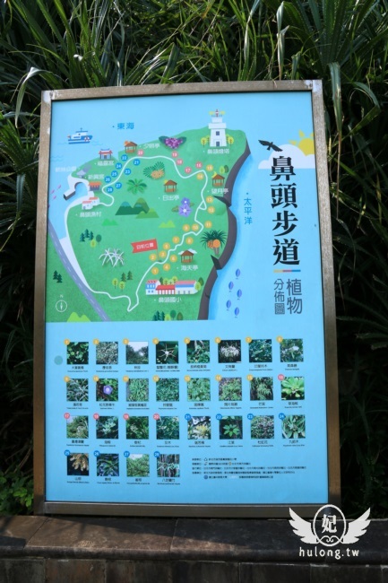 「聽濤營區」鼻頭角步道迷彩神秘感新秘境|聽濤營區咖啡開放時間|東北角景點! - 珍太妃旅遊親子生活