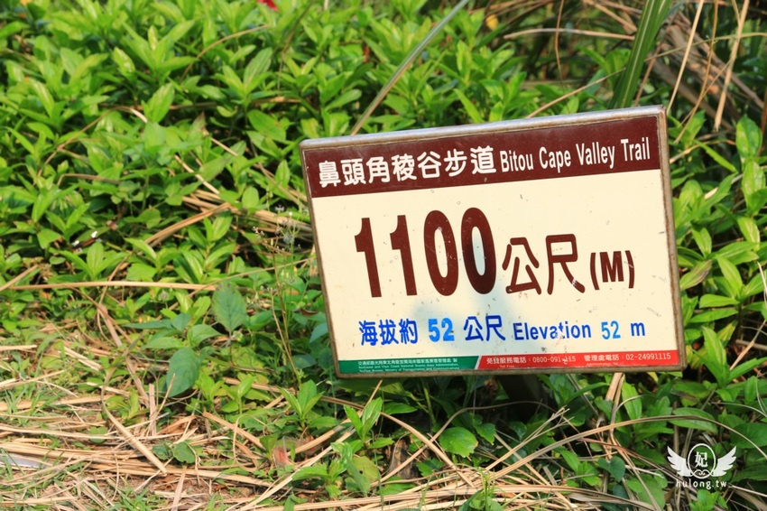 「聽濤營區」鼻頭角步道迷彩神秘感新秘境|聽濤營區咖啡開放時間|東北角景點! - 珍太妃旅遊親子生活