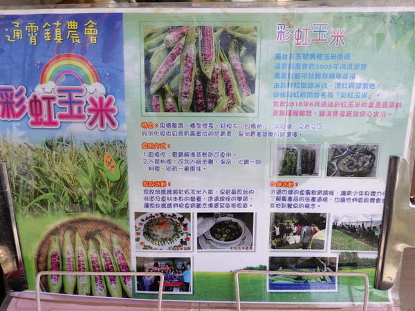 彩虹玉米-雅聞七里香玫瑰森林-馬路對面 (6).JPG
