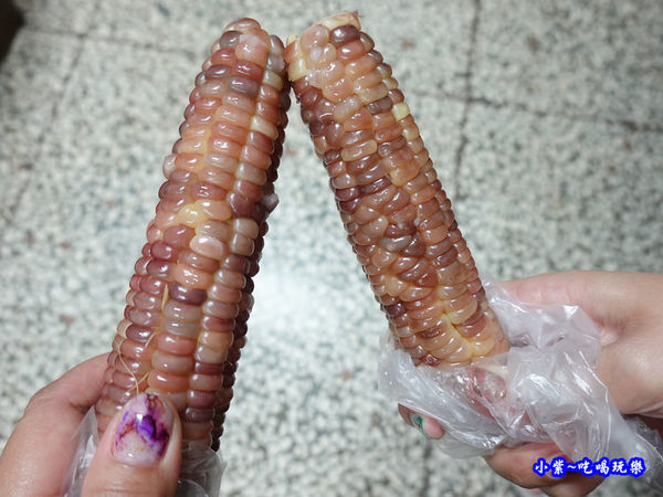 彩虹玉米-雅聞七里香玫瑰森林-馬路對面 (2).jpg