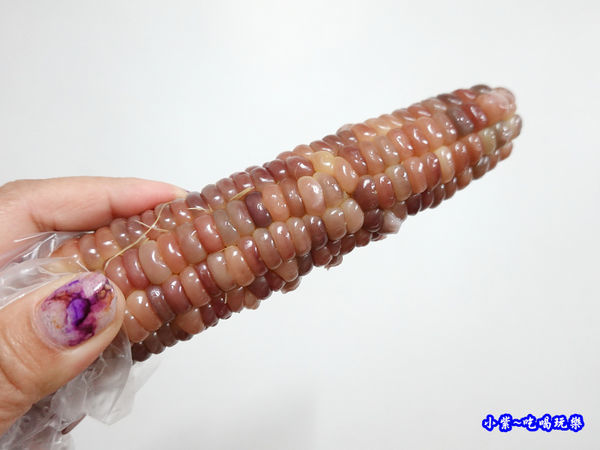 彩虹玉米-雅聞七里香玫瑰森林-馬路對面 (3).jpg